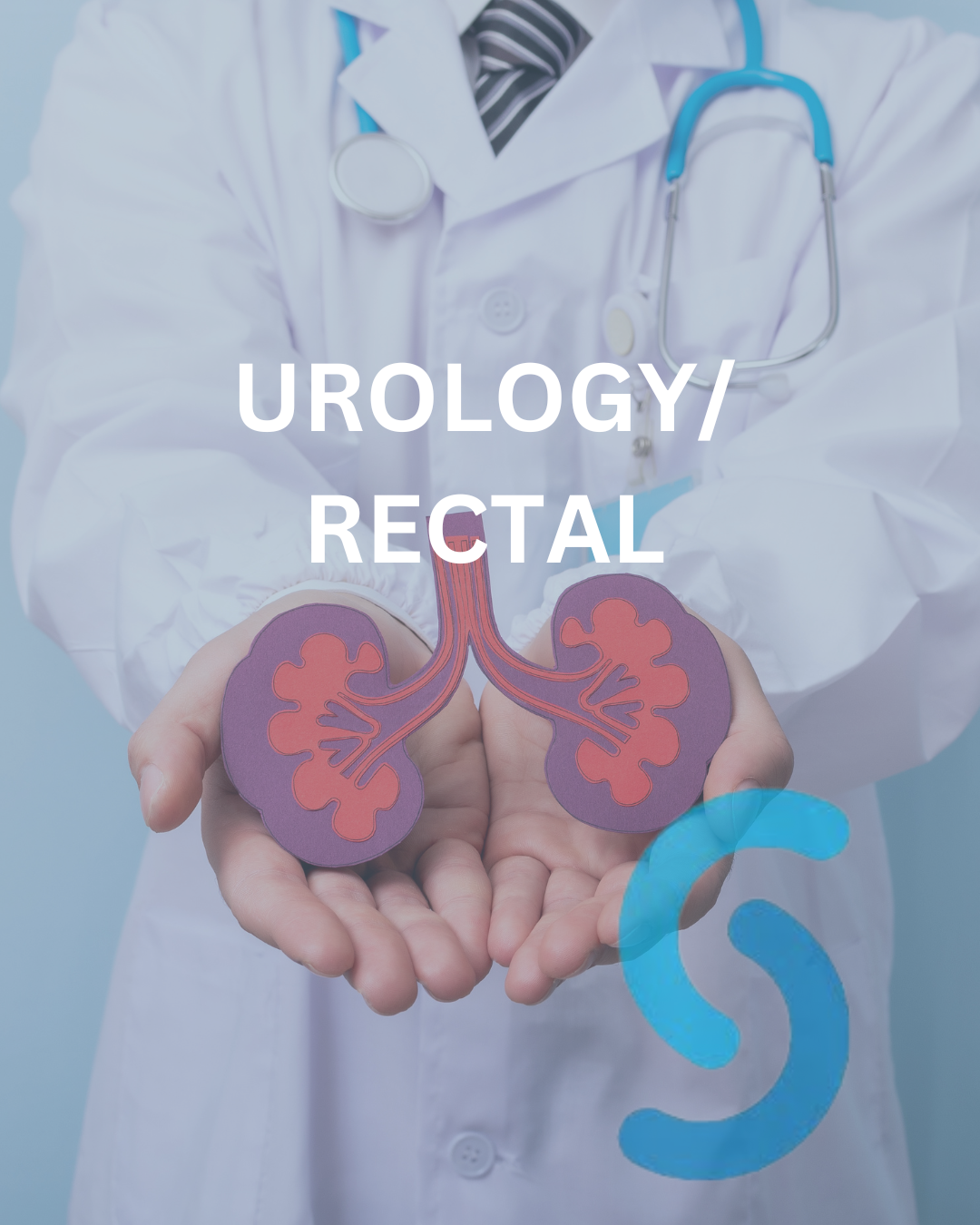 Urology / Rectal