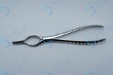 Cottle-Walsham Septum Forceps Straight (222mm)