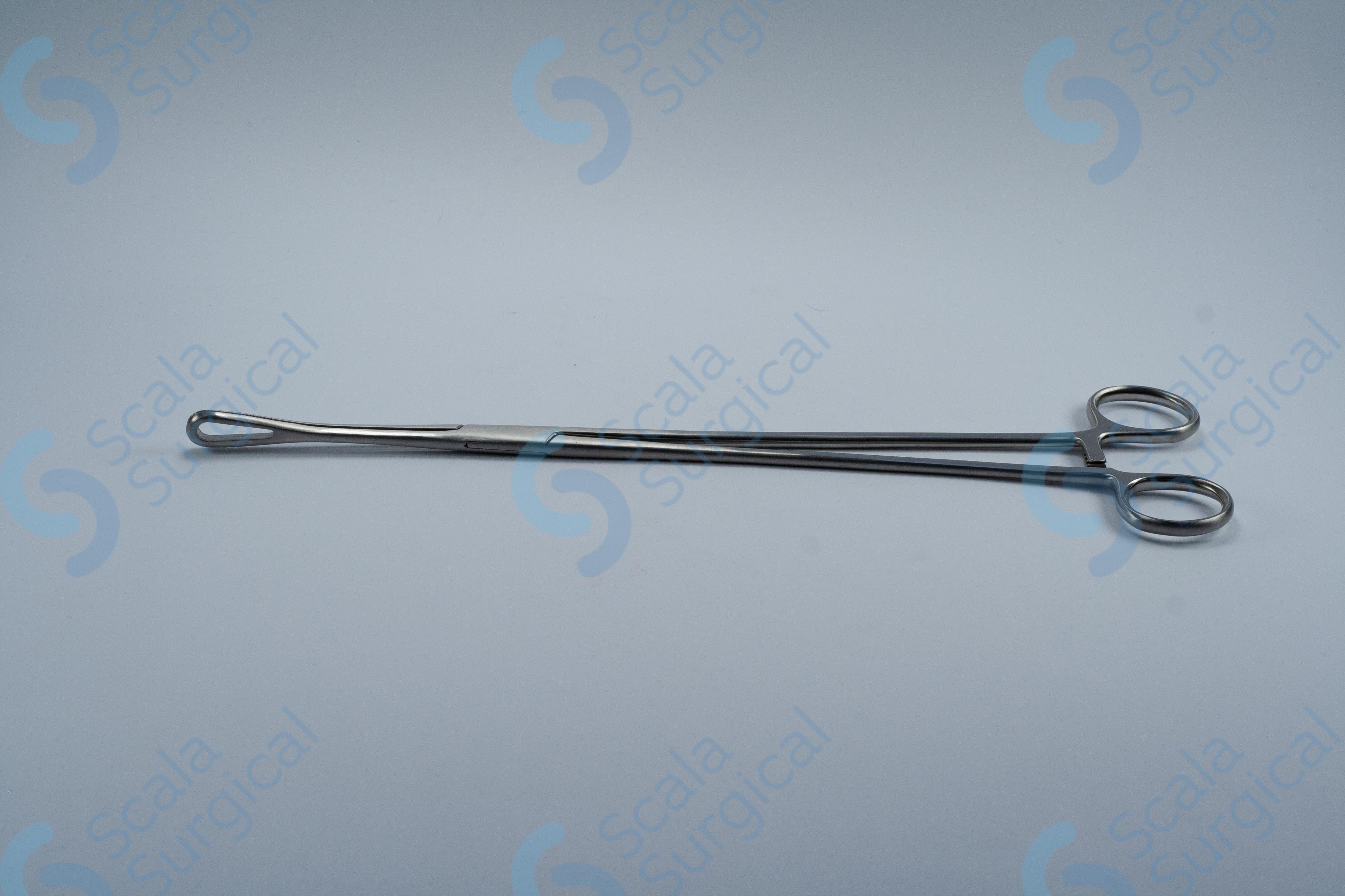 Rampley Sponge Holding Forceps (304.8mm) (12inch) – Scala Surgical Ltd