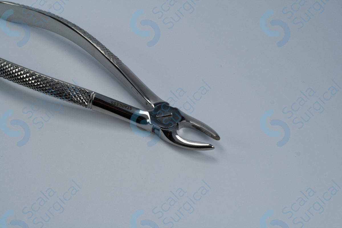 Dental Extracting Forceps No-30 – Scala Surgical Ltd