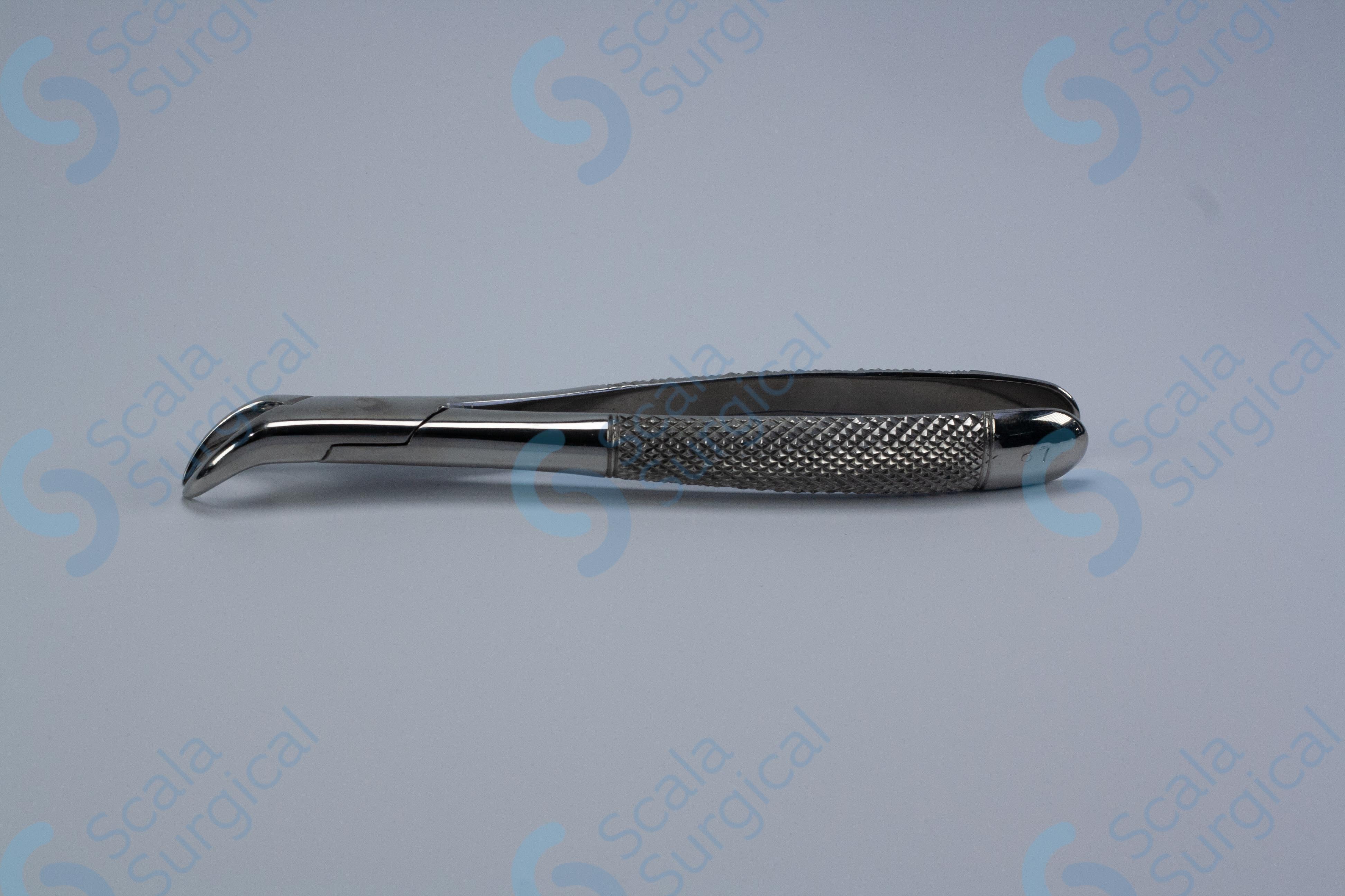 Dental Extracting Forceps No-87 – Scala Surgical Ltd