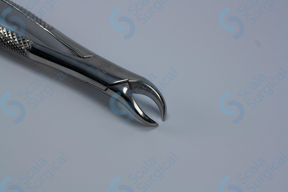 Dental Extracting Forceps No-87 – Scala Surgical Ltd