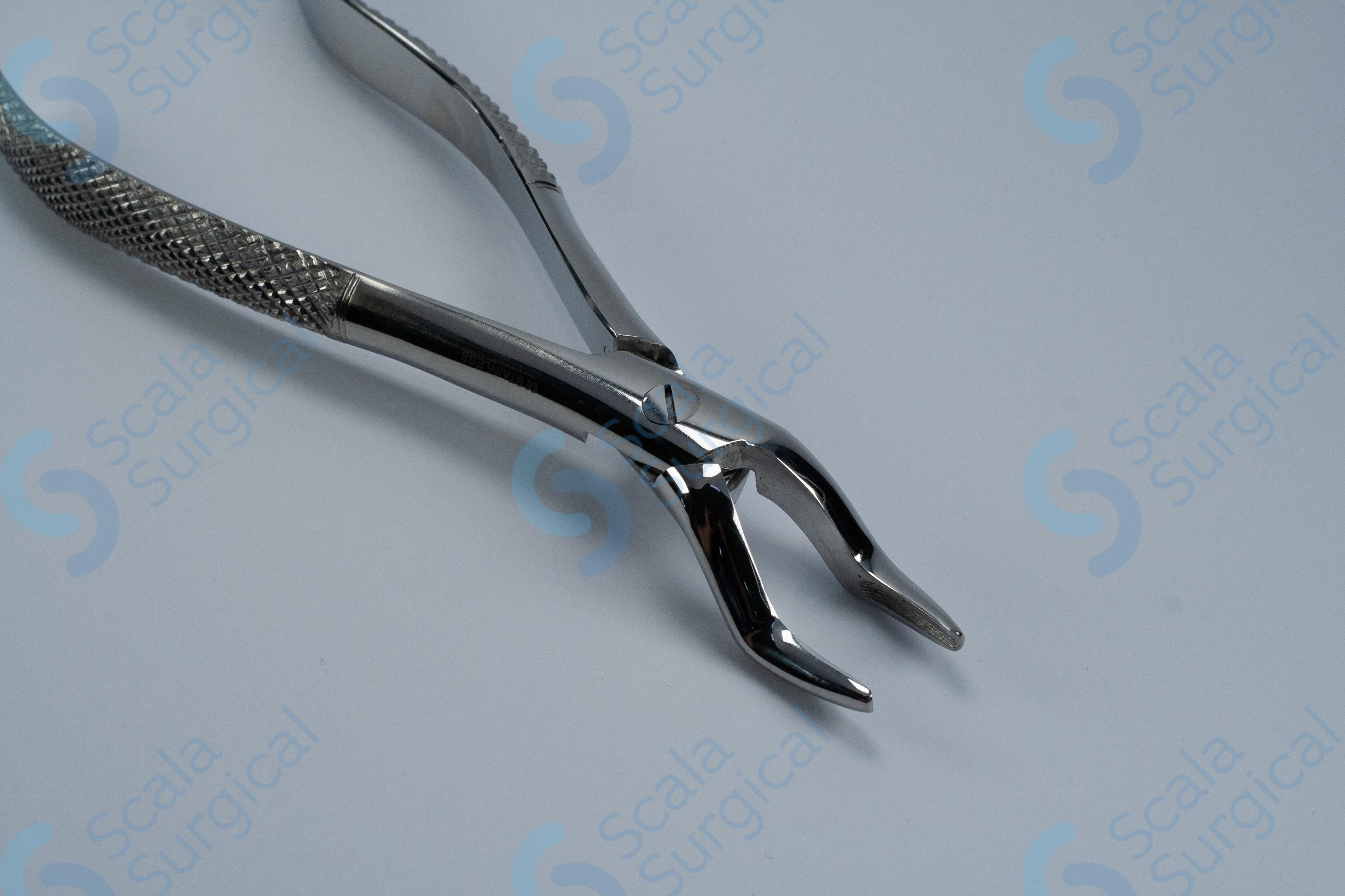 Dental Extracting Forceps No-101 – Scala Surgical Ltd