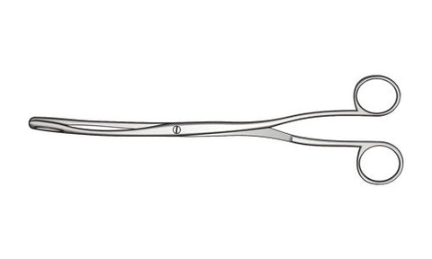 McClintock Ovum Forceps Screw Joint (241.3mm) (9½ inch)