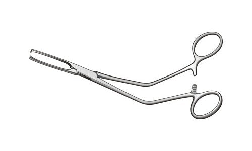 
                  
                    St Georges Haemorrhoidal Seizing Forceps (7½ inch)
                  
                