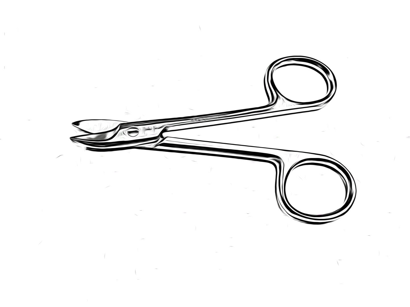 
                  
                    Crown Scissors Curved (114.3mm)
                  
                