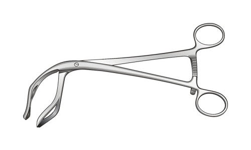 
                  
                    Somer Uterine Elevating Forceps Screw Joint (228.6mm) (9¼ inch)
                  
                