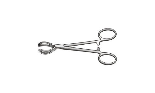 Lane Organ and Tissue Grasping Forceps 1 x 2 Teeth with Fenestrated Jaw Box Joint (152.4mm) (6 inch)
