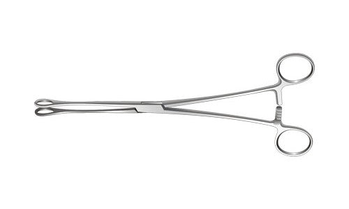 
                  
                    Foerster Sponge Holding Forceps Plain Jaws Curved Box Joint (177.8mm) (7 inch)
                  
                