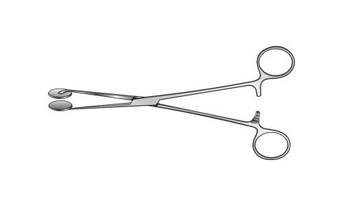 
                  
                    Ross Patch Holding Forceps Circular Plate on Jaws Straight Box Joint (203.2mm) (8 inch)
                  
                