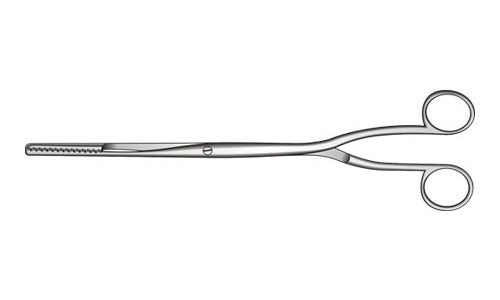 Bierer Ovum Forceps Screw Joint (279.4mm) (11 inch)