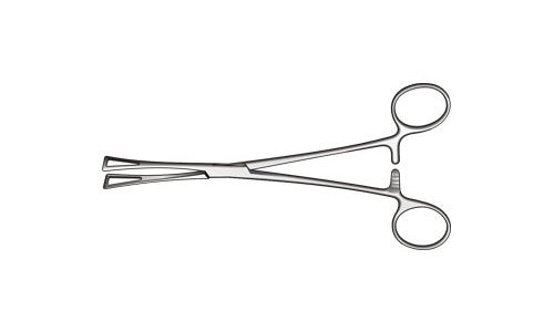 
                  
                    Collin Tissue Forceps Atraumatic Jaws Box Joint (Jaw Width: 21mm) (177.8mm) (7 inch)
                  
                
