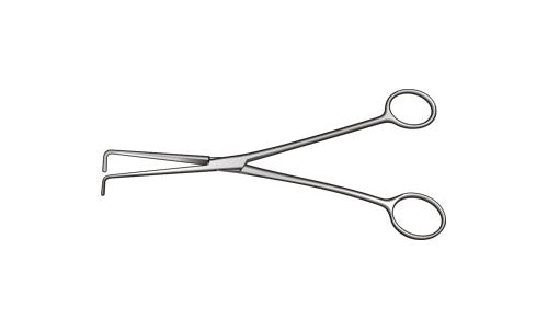 
                  
                    Denis Browne Dissector Plain Jaws Angled on Flat Box Joint (203.2mm) (8 inch)
                  
                